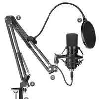 Microphone set